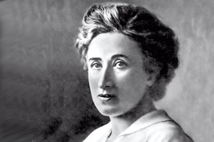 Rosa Luxemburg Portrait in Profile